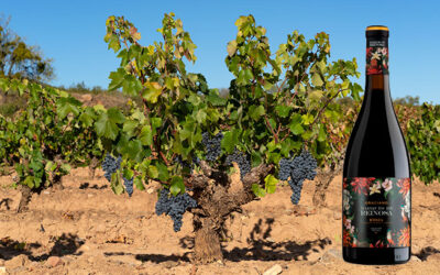 Marqués de Reinosa Graciano Tinto recibe 93 puntos del prestigioso sumiller Andreas Larsson